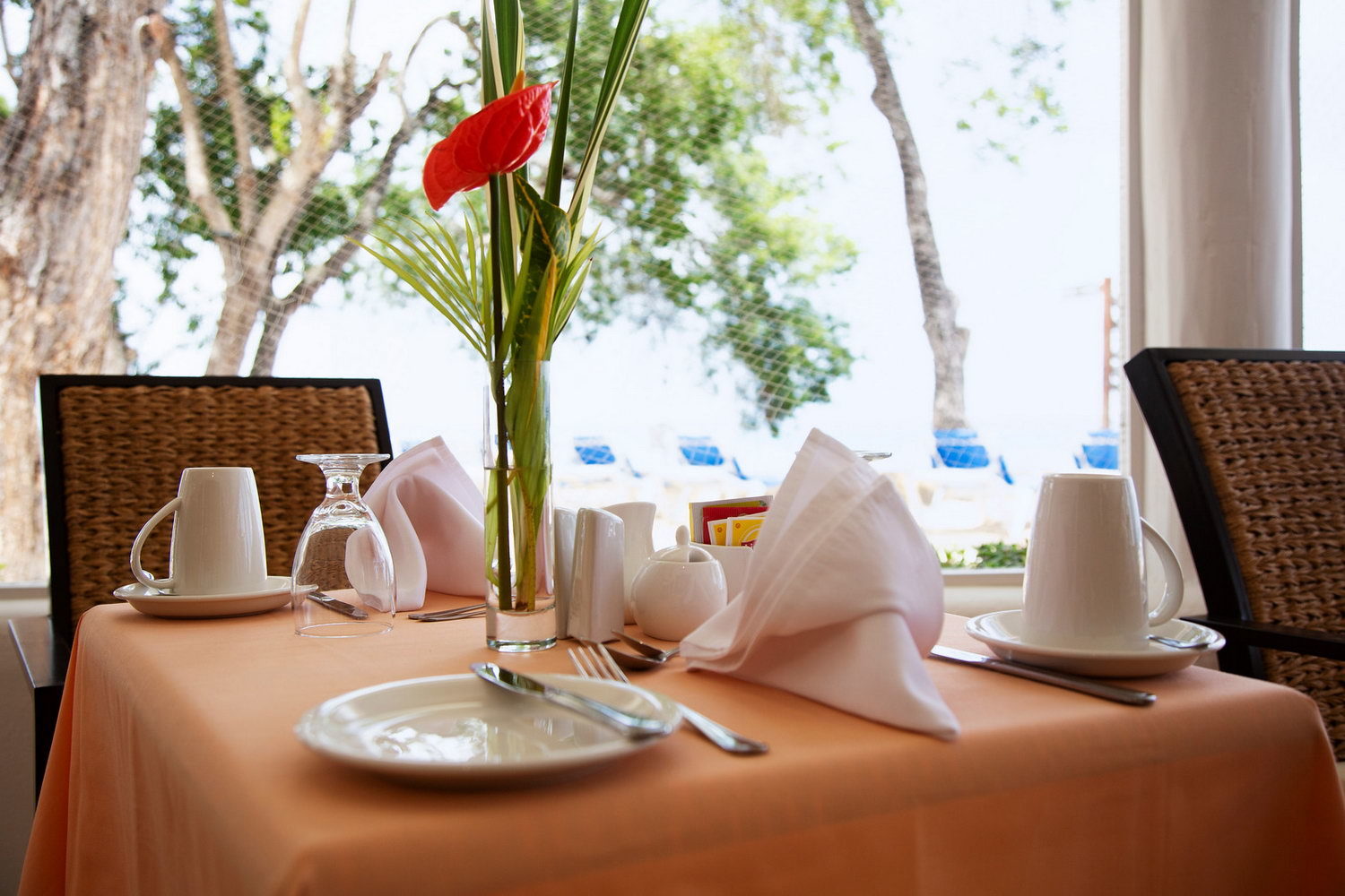 Open Kitchen Barbados Breakfast Menu - Prosper Kitchen
